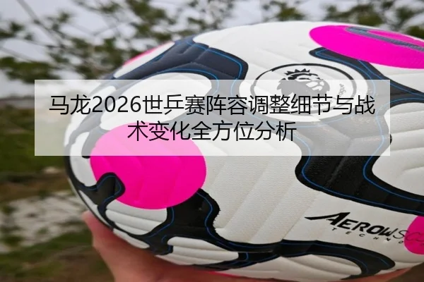 ma-long-shi-ping-sai-zhen-rong-tiao-zheng-xi-jie-yu-zhan-shu-bian-hua-quan-fang-wei-fen-xi-2-660.jpg